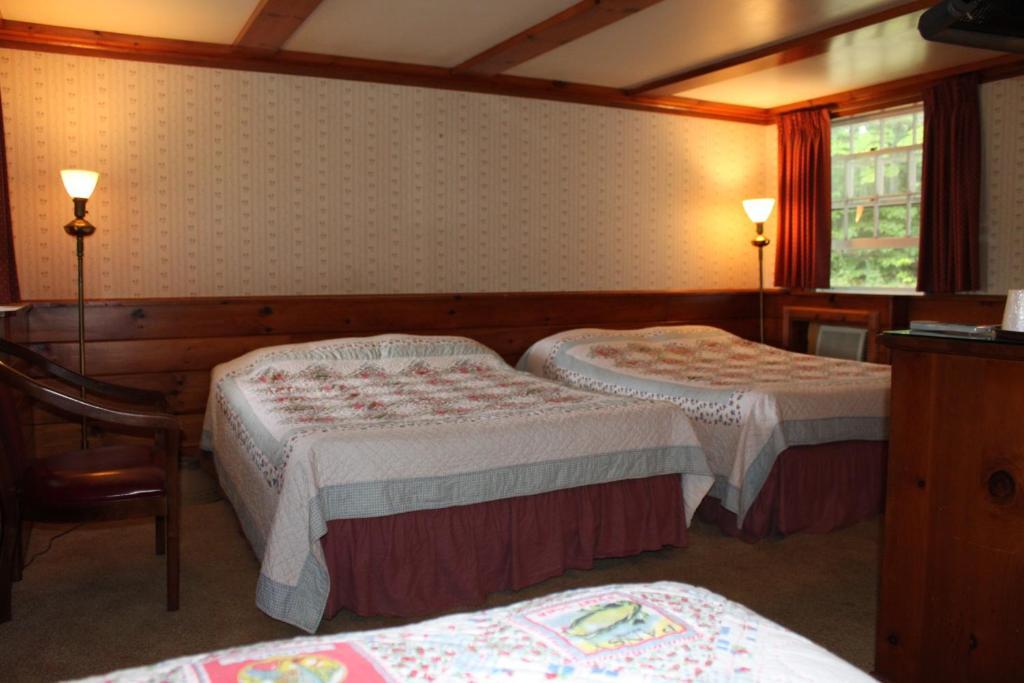 White Trellis Motel North Conway Room photo